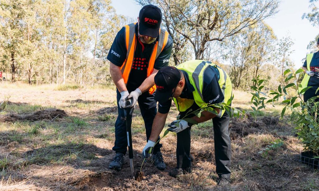 Greenfleet’s 2023 Queensland planting event