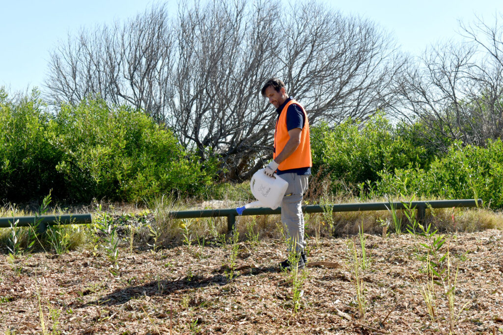 Planting Trees with Greenfleet