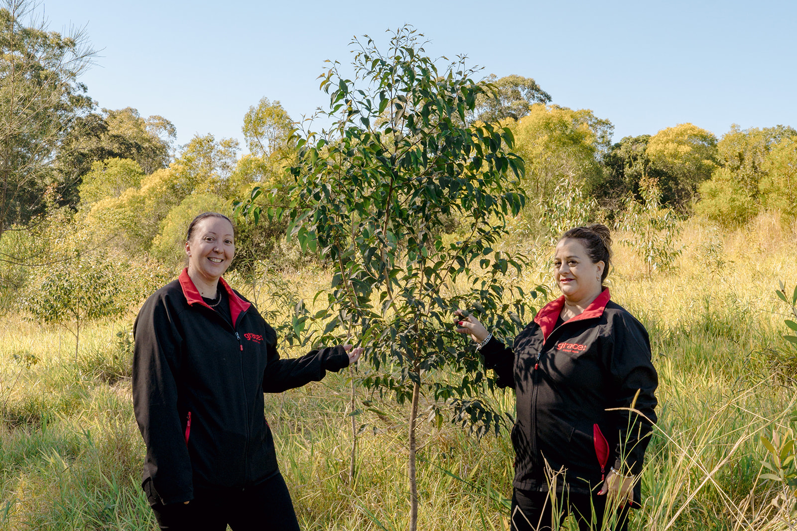 Trees for Containers: Restoring biodiverse forests and protect endangered wildlife