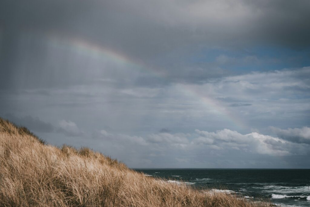 Navigating weather challenges when moving