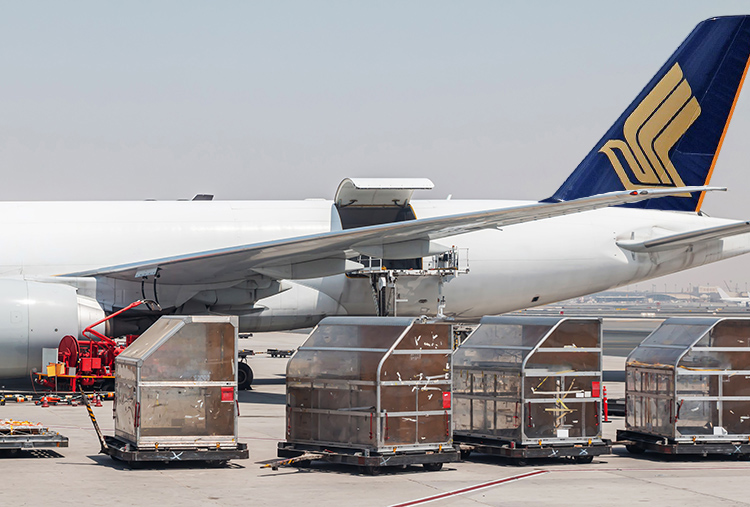 Art cargo