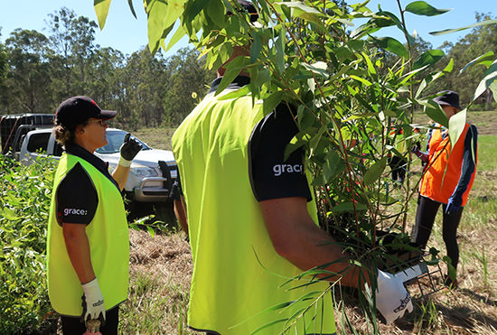 Greenfleet tree planting