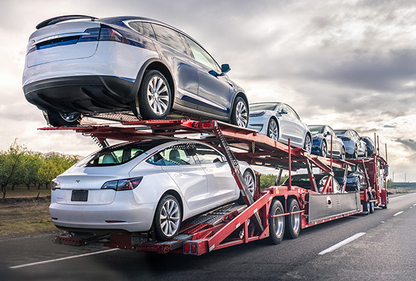 Removals Vehicle Transportation